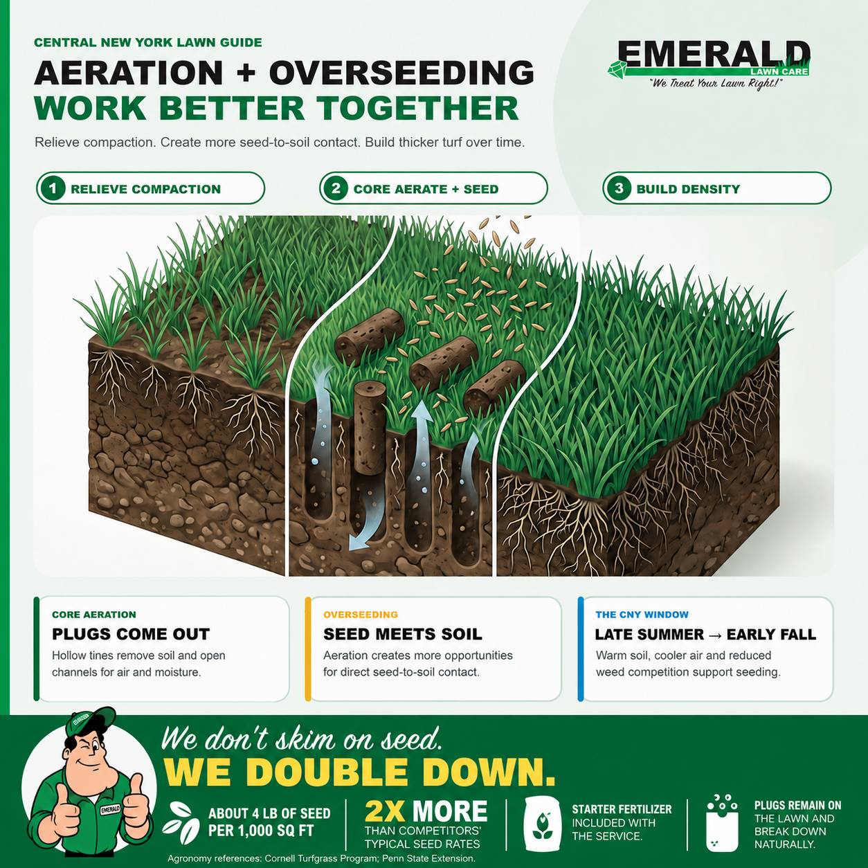 Aeration and overseeding process infographic